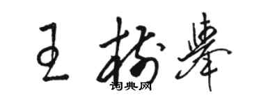 骆恒光王树举草书个性签名怎么写
