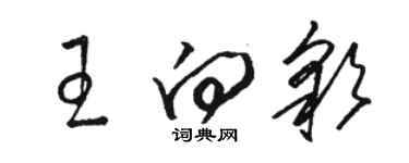 骆恒光王向彩草书个性签名怎么写