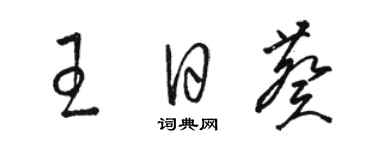 骆恒光王日葵草书个性签名怎么写
