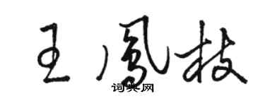骆恒光王凤枝草书个性签名怎么写