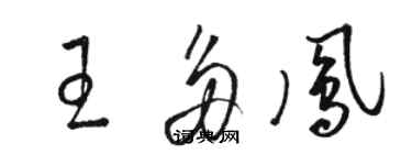 骆恒光王多凤草书个性签名怎么写