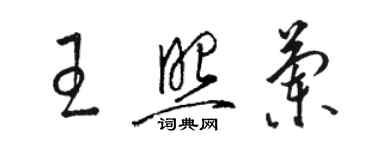 骆恒光王照兰草书个性签名怎么写