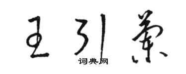 骆恒光王引兰草书个性签名怎么写