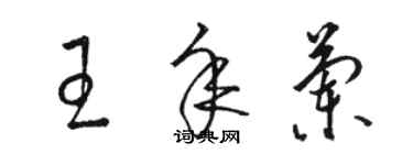 骆恒光王年兰草书个性签名怎么写