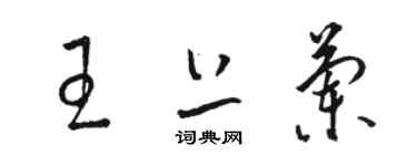 骆恒光王上兰草书个性签名怎么写