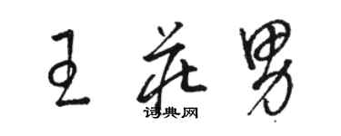 骆恒光王庄男草书个性签名怎么写