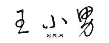 骆恒光王小男草书个性签名怎么写