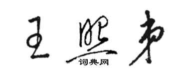 骆恒光王照弟草书个性签名怎么写