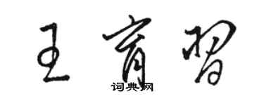 骆恒光王育习草书个性签名怎么写