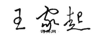 骆恒光王家起草书个性签名怎么写