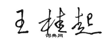 骆恒光王桂起草书个性签名怎么写