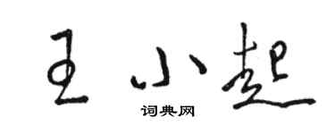 骆恒光王小起草书个性签名怎么写