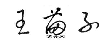 骆恒光王苗子草书个性签名怎么写