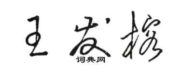 骆恒光王发榕草书个性签名怎么写