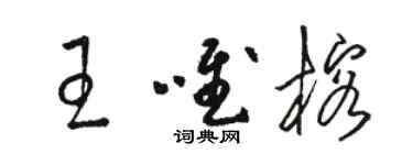 骆恒光王唯榕草书个性签名怎么写