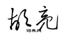 骆恒光胡亮草书个性签名怎么写