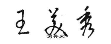骆恒光王美秀草书个性签名怎么写
