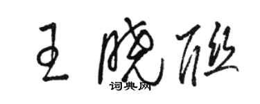骆恒光王晓联草书个性签名怎么写