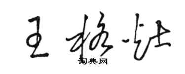 骆恒光王格灶草书个性签名怎么写