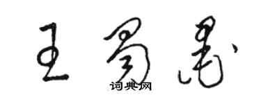 骆恒光王蜀墨草书个性签名怎么写