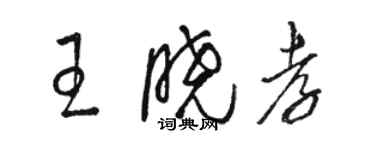 骆恒光王晓孝草书个性签名怎么写
