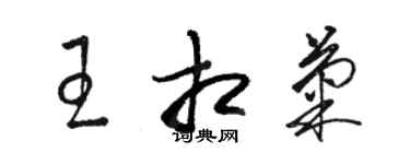 骆恒光王相菊草书个性签名怎么写