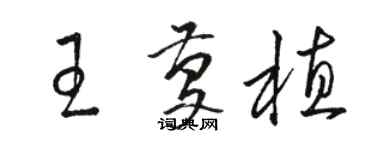 骆恒光王庆植草书个性签名怎么写