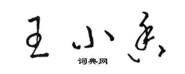 骆恒光王小香草书个性签名怎么写