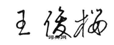 骆恒光王俊樱草书个性签名怎么写