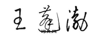骆恒光王蓬渤草书个性签名怎么写