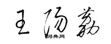 骆恒光王阳荔草书个性签名怎么写