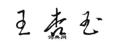 骆恒光王杏玉草书个性签名怎么写