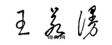 骆恒光王若漫草书个性签名怎么写