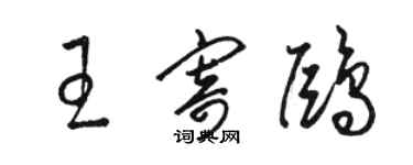 骆恒光王寄鸥草书个性签名怎么写
