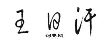骆恒光王日汗草书个性签名怎么写