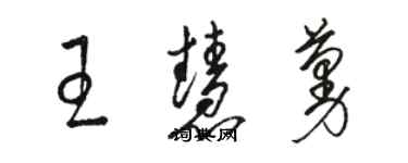 骆恒光王慧蔓草书个性签名怎么写