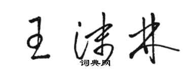 骆恒光王沫林草书个性签名怎么写