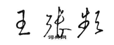 骆恒光王张频草书个性签名怎么写