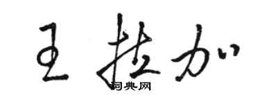 骆恒光王拉加草书个性签名怎么写