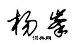 朱锡荣杨峰草书个性签名怎么写
