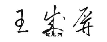 骆恒光王成屏草书个性签名怎么写
