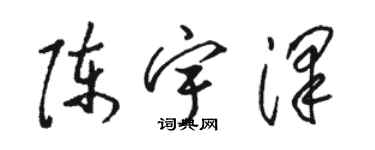 骆恒光陈宇泽草书个性签名怎么写