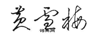 骆恒光黄雪梅草书个性签名怎么写