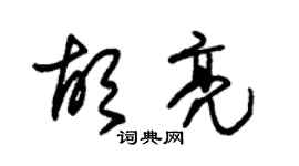 朱锡荣胡亮草书个性签名怎么写