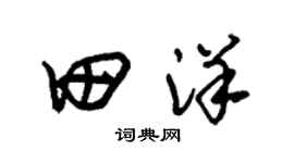 朱锡荣田洋草书个性签名怎么写