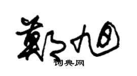 朱锡荣郑旭草书个性签名怎么写