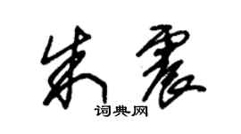 朱锡荣朱震草书个性签名怎么写
