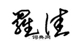 朱锡荣罗佳草书个性签名怎么写