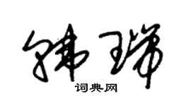 朱锡荣韩瑞草书个性签名怎么写
