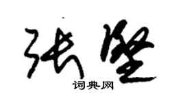朱锡荣张坚草书个性签名怎么写
